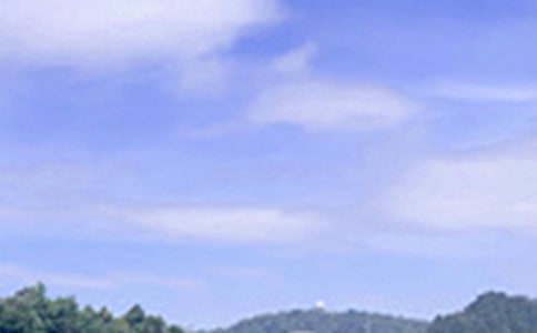 �簲��¼ժ¼43��