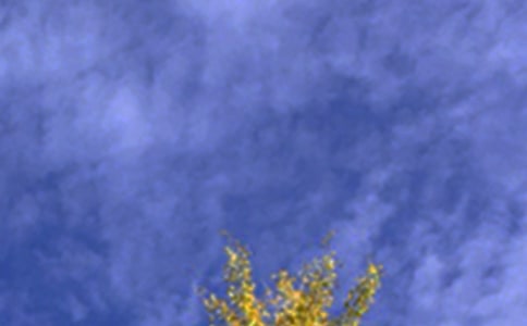 [����]�ʺ��簲�ľ���