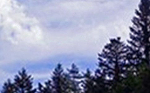 �����簲��¼����50��