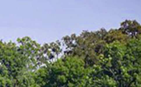 ��ܰ�簲��¼����ѡ30�䣩