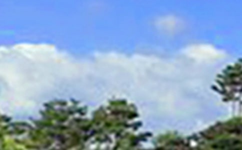 ���������簲��¼(����15ƪ)