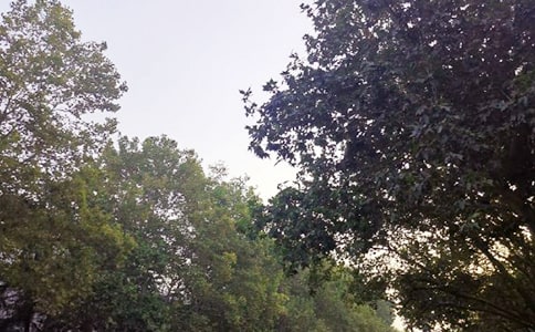 �����簲��¼���ܣ�ͨ��50�䣩