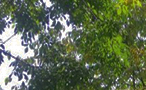 ������ܰ�簲����60�侫ѡ