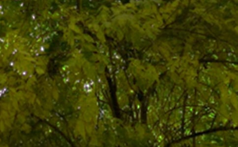 ���������簲��¼��ȫ��ͨ��50�䣩