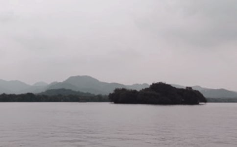 ��ѡСѧ������������300��6ƪ