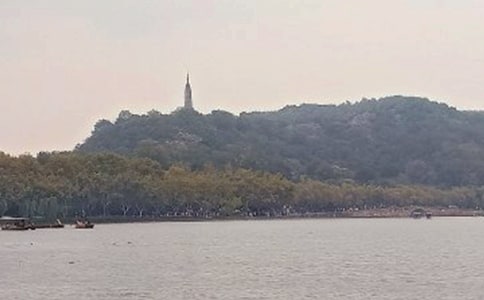 ��ѡСѧ�����������Ļ���8ƪ