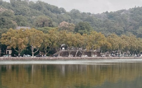 Сѧ�����������ľ�ƪ