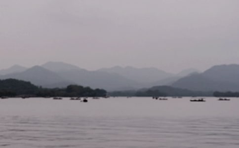 ��������������������ƪ