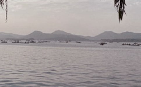 ��ѡСѧ�����������Ļ���5ƪ