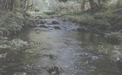 ��СϪ���ĸ衷�Ľ̰�