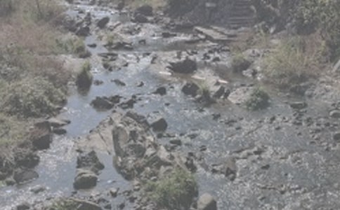 ��дϪ���ľ���