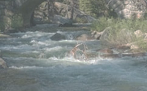 ��СϪ���ĸ衷�Ľ�ѧ���