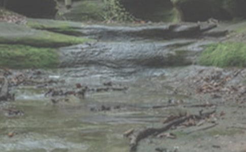 ��СϪ���ĸ衷�ڶ���ʱ ����һ�꼶