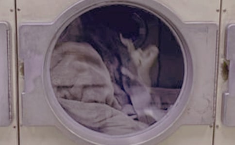 ϴ�·������ܽ�