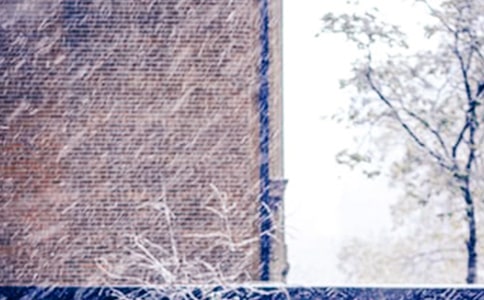 ��ѩ���ռǡ�����