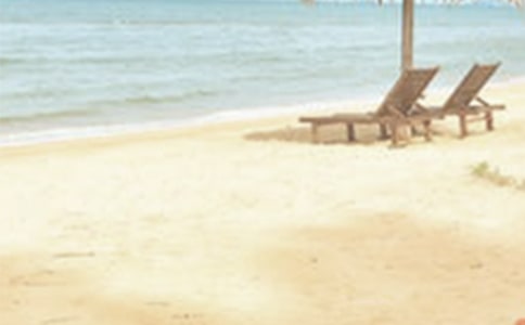 �ļ�������������㱨��ͨ��15ƪ��