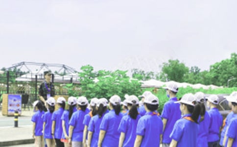 �й�����Ӫ�ռ�ģ��ϼ�8ƪ