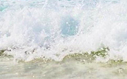 ������������ľ���11��