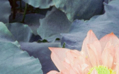 �����ľ���15ƪ