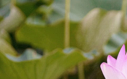 ������Ψ������