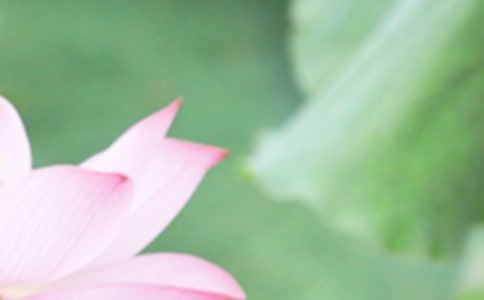 ����δ����������