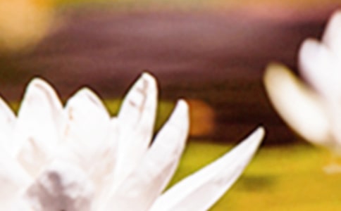 ���������ľ���