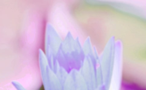 �����ľ�����ӽ���[15ƪ]