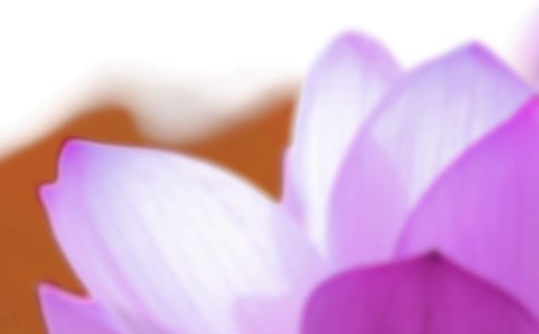 (����)�����ľ������