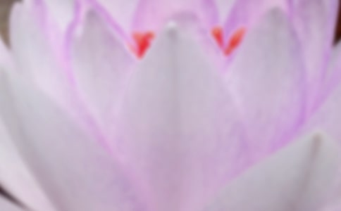 ���������ľ������