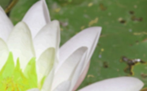 ��������������11ƪ