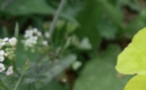 �������Ӽ��