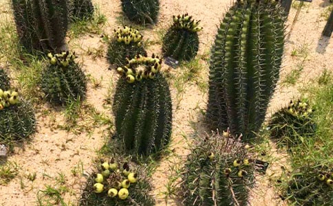 ����������(15ƪ)