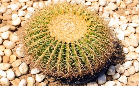 ���������ġ����䡿