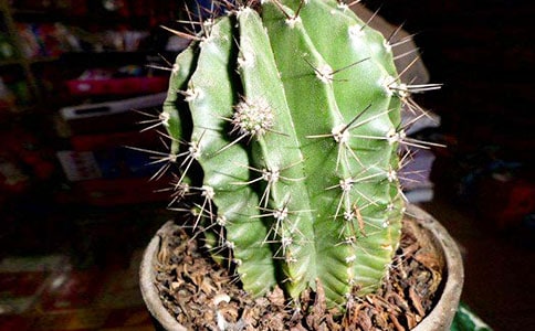 ��������������15ƪ