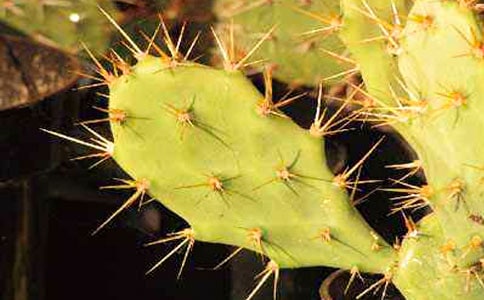 ��������������