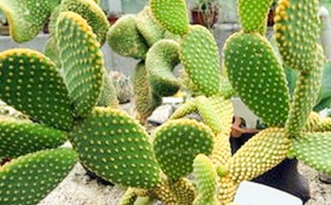 ������������������15ƪ