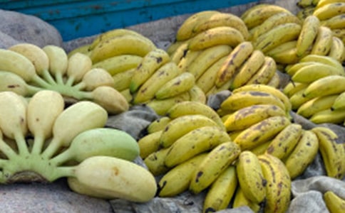 �óԵ��㽶����