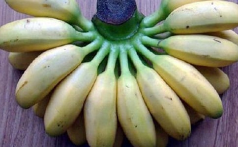 ��ϲ�����㽶����