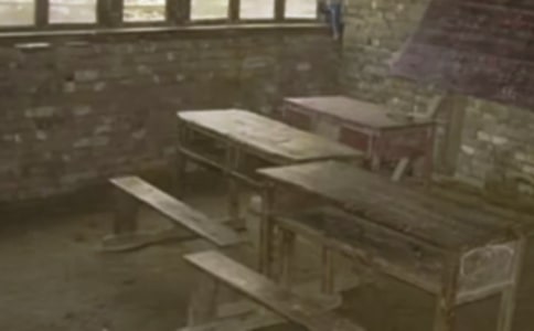 ���������Сѧ����