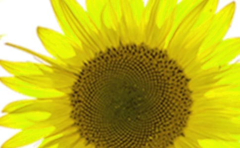 �а��������տ��̰�