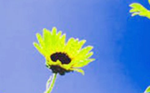 ���Ƽ������տ�����