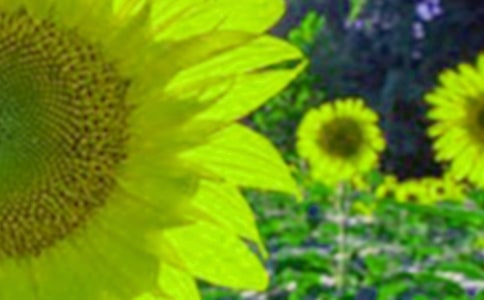 �����������ģ����տ�����