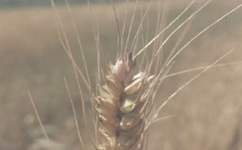 С�����ӹ�����ͬ