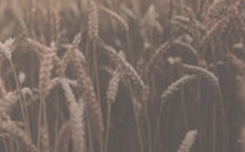 ��д����С��ľ���