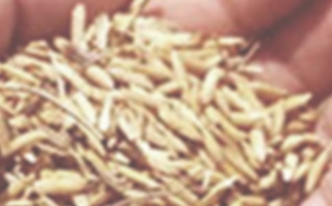 С������ͬ�鷶��