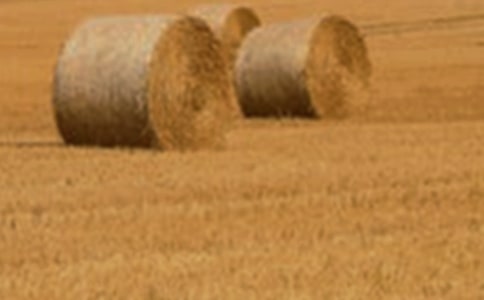 **�ع��Ҵ�������С����ؽ�����Ŀ���