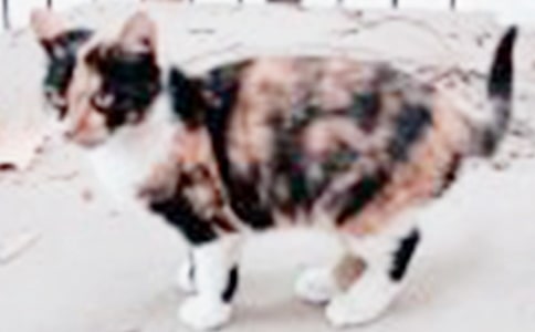 Сè�۲��ռ�