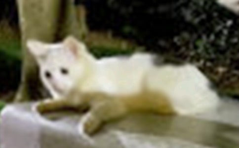 Сè�۲��ռǡ��ȡ�