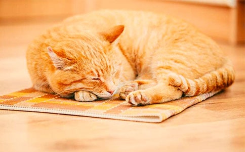 Сè�������ľ�ѡ15ƪ