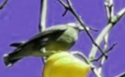 ����һֻСС�����ġ��ȡ�